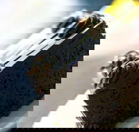 Noci Licensed Restaurant - Accommodation Georgetown