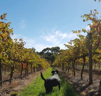 Ruddenklau Wines - Accommodation Georgetown