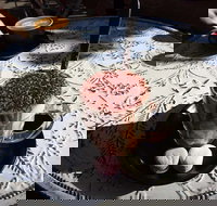 Gateaux By Marc Frissard - Accommodation Georgetown