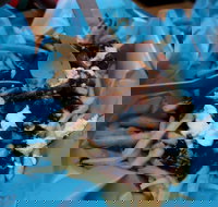 Hampton Wine Co - Accommodation Georgetown