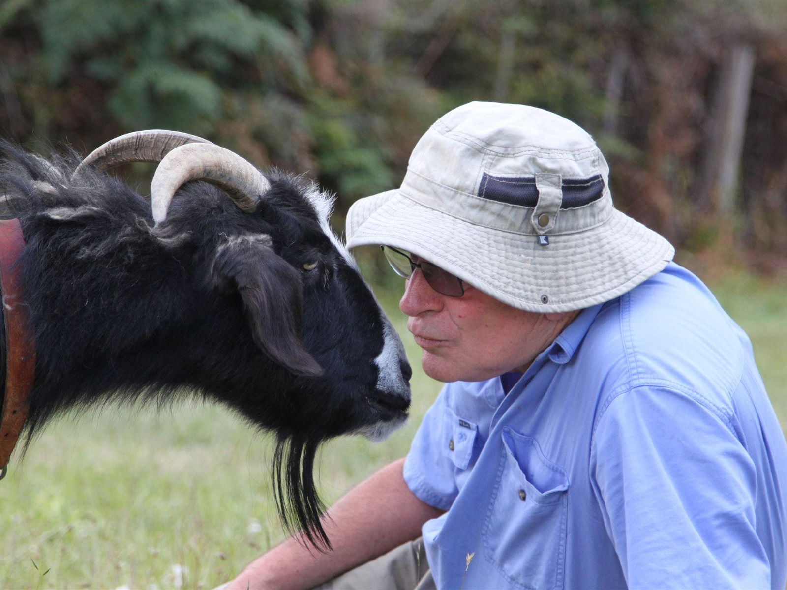  Accommodation Georgetown