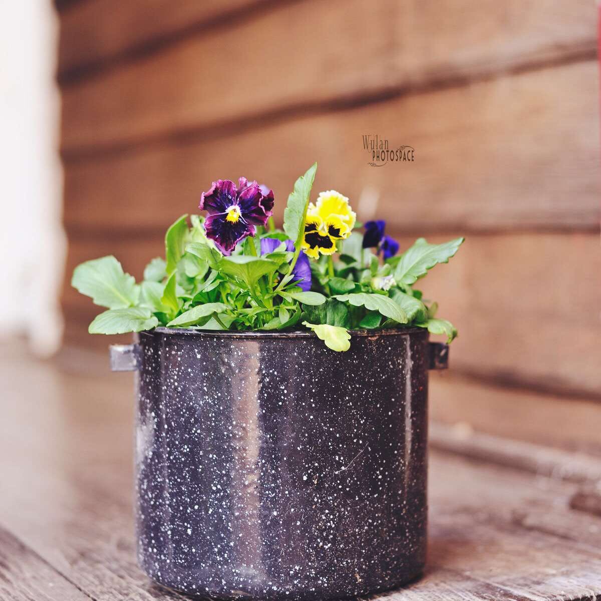 Mount Observation WA Accommodation Georgetown