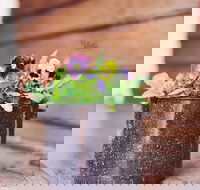 The York Mill - Accommodation Georgetown