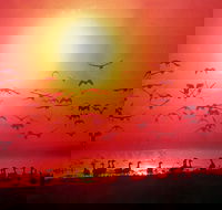 TINH and LAN Vietnamese Restaurant - Accommodation Georgetown