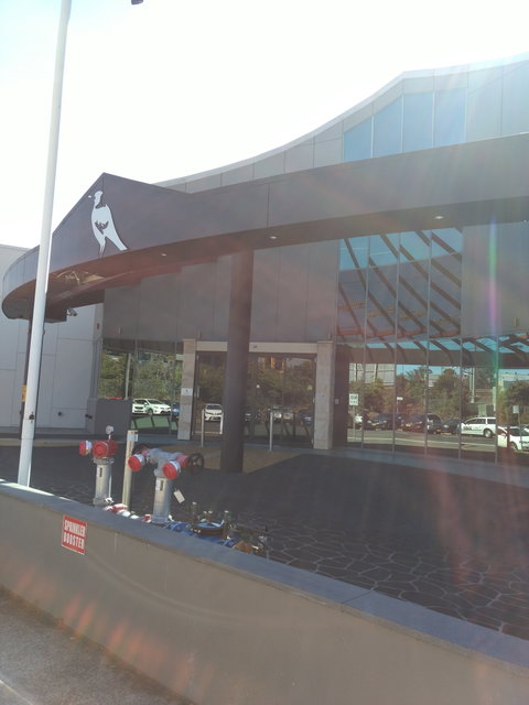 Magpies Waitara - Accommodation Georgetown 0