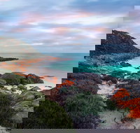 Marion Bay Tavern - Accommodation Georgetown