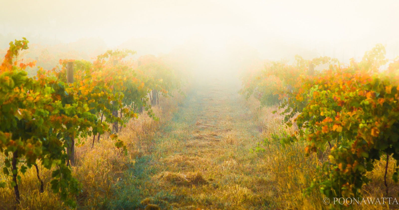 Flaxman Valley SA Accommodation Georgetown