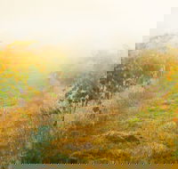 Poonawatta - Accommodation Georgetown