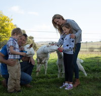 Sunhill Dairy Goats and Sunhill Skin Essentials - Accommodation Georgetown