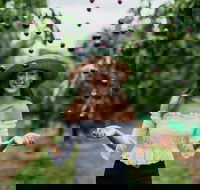 Cherryhill Orchards - Accommodation Georgetown