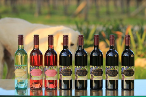 Mount Benson Estate - Accommodation Georgetown 0