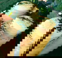 Chillers Cafe - Accommodation Georgetown