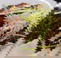 Rising Sun Hotel - Accommodation Georgetown