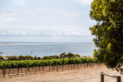 Bay Of Shoals Wines - Accommodation Georgetown 2