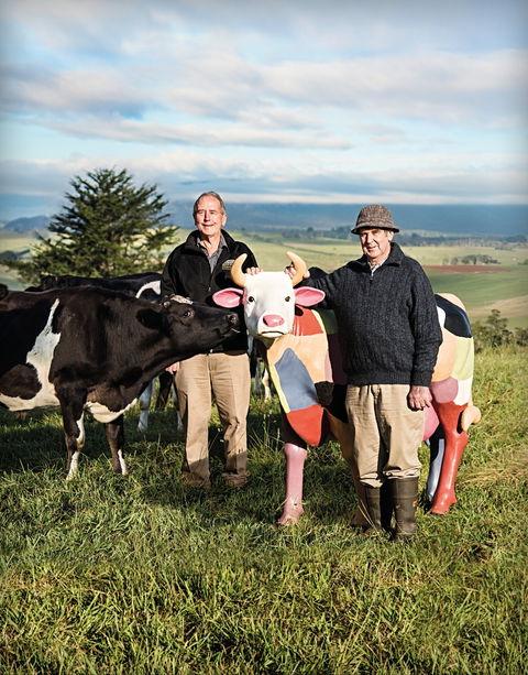 Ashgrove Farm Cheese - Accommodation Georgetown 1