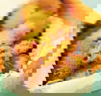 Mrs. Fields - Taylors Lakes - Accommodation Georgetown