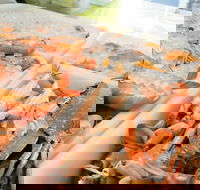 Rufus King Seafoods Amity Point - Accommodation Georgetown