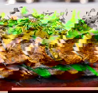 Allure On Currumbin - Accommodation Georgetown