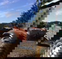 Massena - Accommodation Georgetown