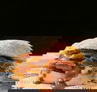 Sandwich Chefs - Accommodation Georgetown