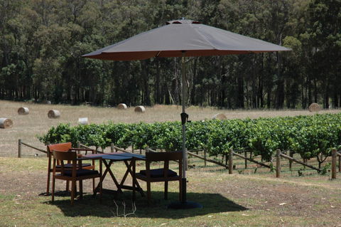 Whimwood Estate Wines Cellar Door - Accommodation Georgetown 2