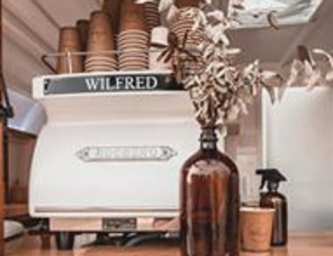 Wilfred The Van - Accommodation Georgetown 1