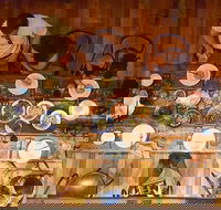 The Dark Horse - Accommodation Georgetown