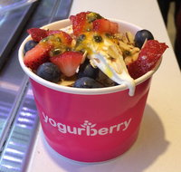 Yogurberry - Bankstown - Accommodation Georgetown