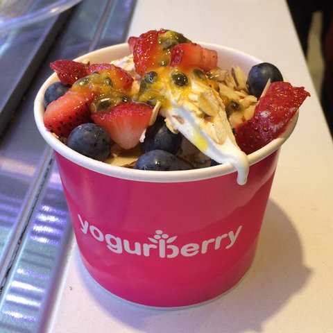 Yogurberry - Bankstown - Accommodation Georgetown 0
