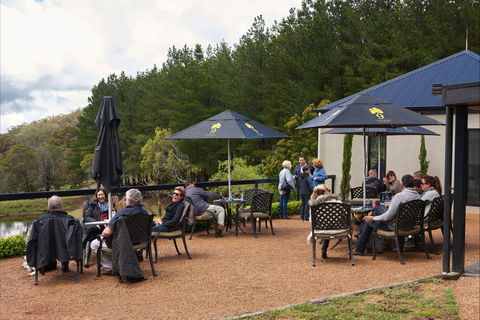 Cloud 9 Farm - Accommodation Georgetown 2