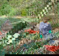 Sweet Water Farm - Accommodation Georgetown