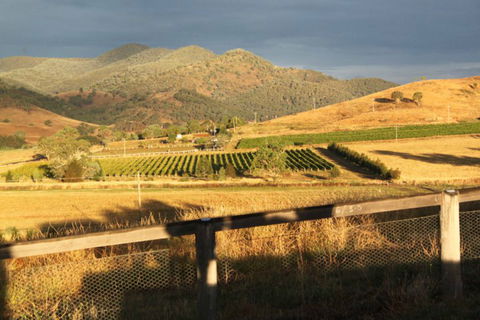 Optimiste Wines - Accommodation Georgetown 0