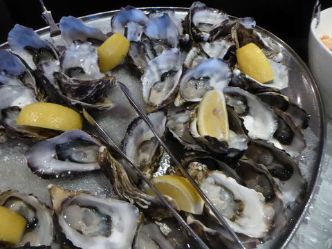 View 42o - Accommodation Georgetown 0