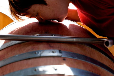 Yarrh Wines - Accommodation Georgetown 2