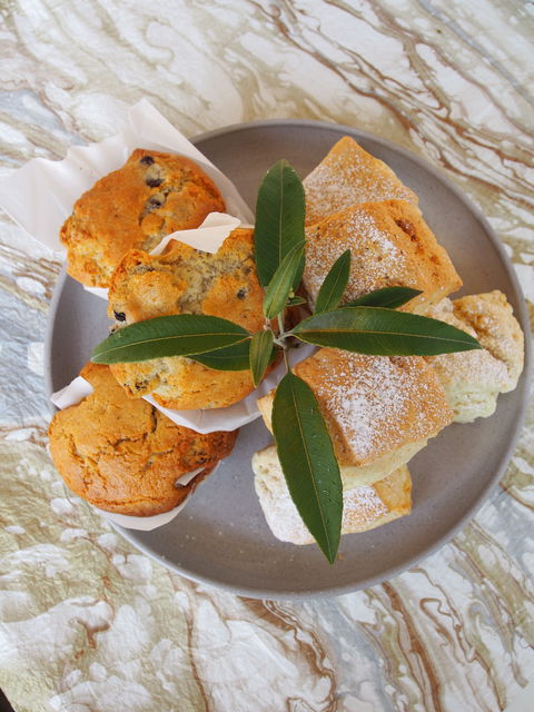 Paperbark Cafe At Kuranga Native Nursery - Accommodation Georgetown 1