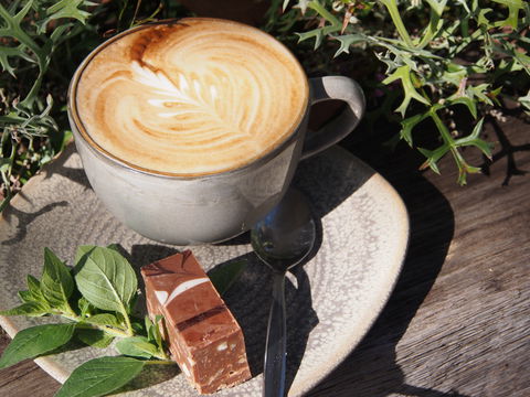 Paperbark Cafe At Kuranga Native Nursery - Accommodation Georgetown 2