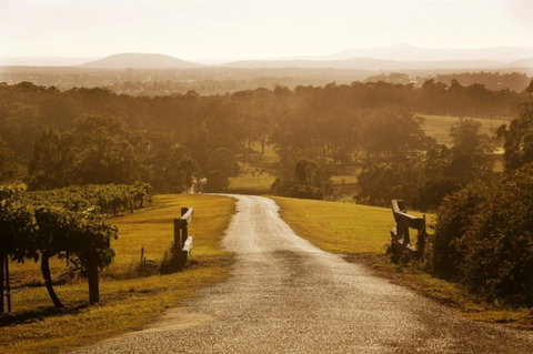 Petersons Wines - Accommodation Georgetown 0