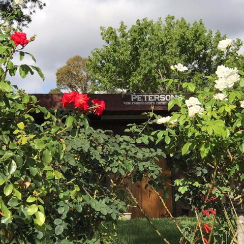 Petersons Wines - Accommodation Georgetown 1