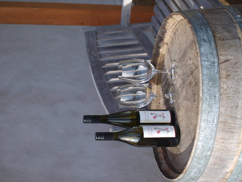 Two Bud Spur Vineyard - Accommodation Georgetown 1