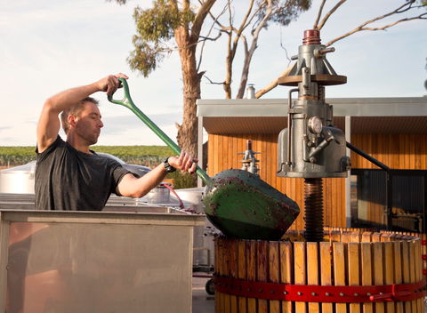 Izway Wines - Accommodation Georgetown 0