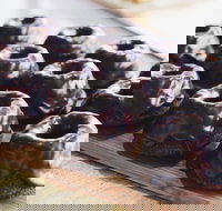 Botanica - Teneriffe - Accommodation Georgetown