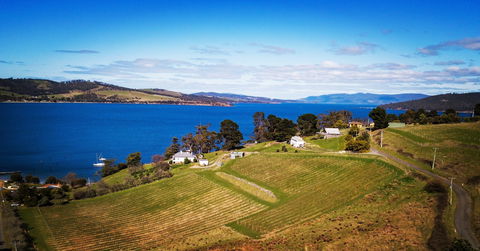 Anim Wine - Accommodation Georgetown 0