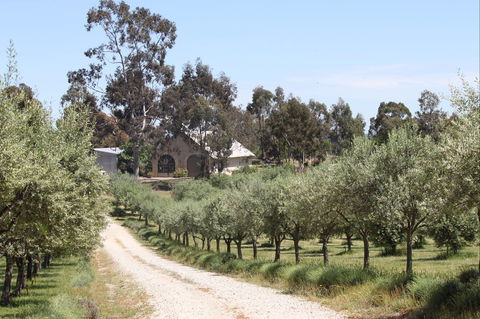 L'Oliveraie Olive Grove - Accommodation Georgetown 0