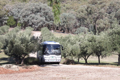 L'Oliveraie Olive Grove - Accommodation Georgetown 2