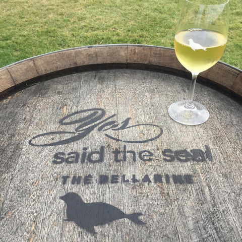 Yes Said The Seal - Accommodation Georgetown 1