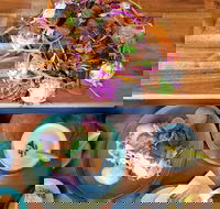 Mel  Co. Garden - Accommodation Georgetown