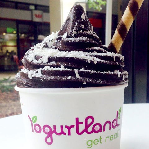 Yogurtland - Prairiewood - Accommodation Georgetown 0