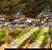 False Cape Wines Cellar Door - Accommodation Georgetown