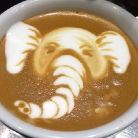 Cafenatics - Docklands - Accommodation Georgetown 0