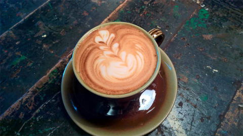 Fox & Rabbit Coffee Co. - Accommodation Georgetown 0